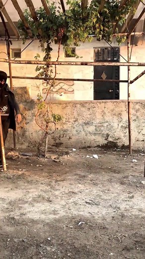 Outdoor Activity with Wooden Structure at Dirt Ground