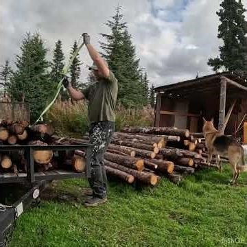Cutting & processing firewood for the long Alaskan winter. #firewood #offgridlifestyle #alaska