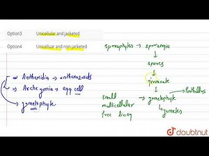 Sex-organs of pteridophytes are