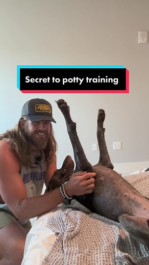 The Ultimate Guide to Potty Training Dogs