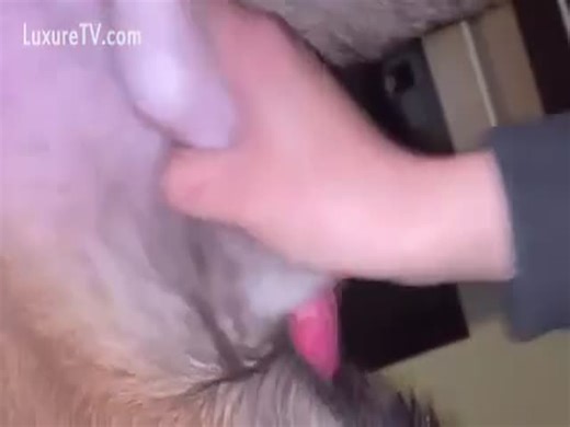 Jerking off knotted sheath