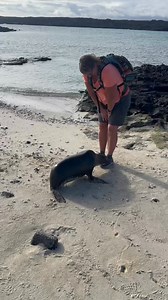 Sea lion kisses:) | Penny Pinching Globetrotter