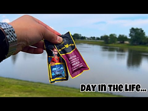 DAY IN THE LIFE OF A WEEDTUBER