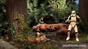 Safety 3rd | Mile Hi SITH academy