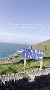 14K views · 217 reactions | Warning: Extreme cuteness ahead! ...