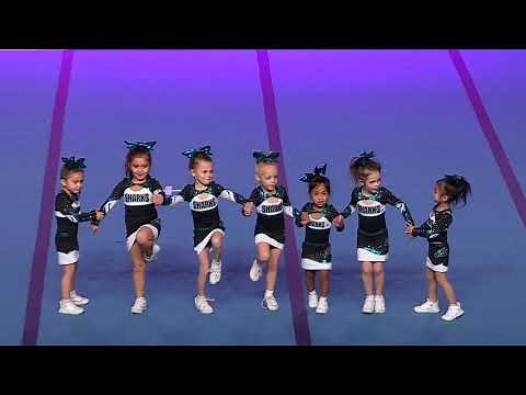 Cheer Sport Pocket Sharks Tiny Prep 1