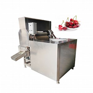 [Hot Item] Factory Price Cherry Stemming Machine Cherry Pit Remover Machine