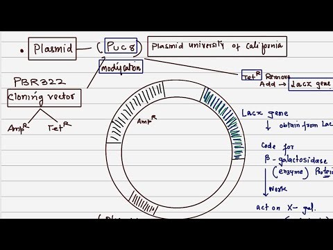 BIOTECHNOLOGY (PRINCIPLES & PROCESS)||CH09 || NCERT || PART.07||BIOLOGY||CLASS 12TH