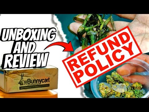 aquarium plants bunnycart REFUND POLICY || UNBOXING AND REVIEW ☘️BUNNYCART