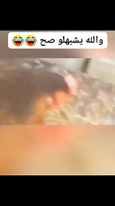 4 cylinder power #reelsfacebook #Libya #algerie | HEMI D65