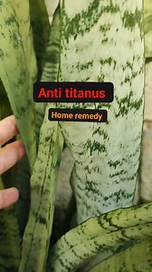 203K views · 4.5K reactions | Home remedy nga anti titanus | Sonny PH | Facebook