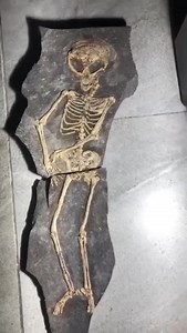 3.6K views · 30 reactions | Fossilized alien skeleton | Archaeology & Ancient Civilizations | Facebook