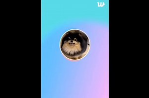 3.3K views · 246 reactions | : “taehyung-ssi, show me your face” : show your... show your face? : no!! i don't [wanna] see my face : because... uh... now im n*de?? nudey?? nake— it's not nake.d.. he's so funnyy #CypherMin | Trap In Euphoria | Facebook