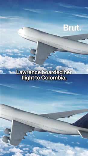 18K views · 110 reactions | A woman was arrested for drowning her dog in the bathroom of the Orlando airport so she could board an international flight. #Airport #Orlando #Dog #Crazy #Travel #Flight | Brut | Facebook