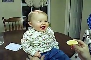Babies eating lemons for the first time.