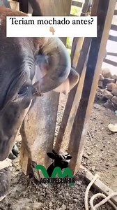 3.4K views · 21 reactions | Good job | The Kelly Ford | Facebook