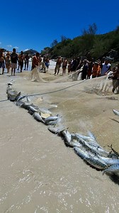 50K views · 818 reactions |  SHOW DOS PESCADORES NA PESCA ARTESANAL...