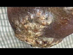 Jiggered Javan - watch full video, big whole jiggers pulled out @.net