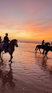 Where horses run, girls learn to fly. ✨💜 👉🏼 booking @essaouira.dreamers . . . . #equestrian #horse #pferd #fyp #caballos | Essaouira Horse Paradise - Marta