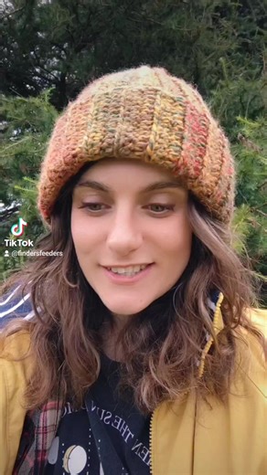 Pineapple Weed #pineapple #foraging #nature #garden #weeds #findersfeeders | Finders Feeders