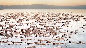 Fotografie: Die nackten Werke des Spencer Tunick - Bilder & Fotos - WELT