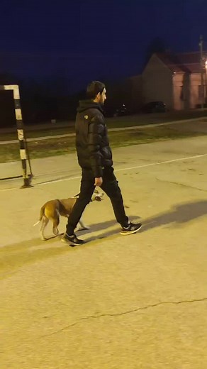 Kako naučiti psa da vas sluša,kako razumeti psa,gde početi?🌐Online treninzi 📌 Za treninge možete me kontaktirati u DM ili ☎️tel 063/195 13 25 viber, whats up Zapratite 🧲you tube,instagram,tik tok Dobijate: ➡️ procenu stanja vašeg psa ➡️ plan rada sa vašim psom ➡️ odgovore na sva pitanja o psu ➡️ način rada sa psom ➡️ totalna podrška do cilja Možete napredovati mnogo ako uložite pre svega razumevanje za vašeg psa,trud,rad🐕‍🦺🙂 Ako ste spremni da date od sebe 100% ,vaš ljubimac će vam vratiti