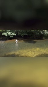 Learn the technique to execute a perfect 90-degree snap tee cast. We cover foot positioning, hip movement, and avoiding common pitfalls for flawless delivery. Elevate your casting skills and impress on the water! #FlyFishing #CastingTechniques #SnapTee #FishingSkills #AnglingTips #ImproveYourCast #FlyCasting #OutdoorAdventure #FishingCommunity #CastingPro | Sunray