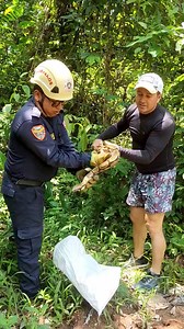 De la mano con el cuerpo de bomberos de cumaral vamos reubicando 👍🌎 | Ricardo Correal