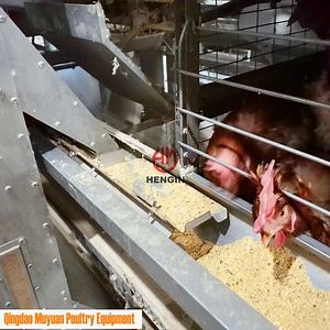 [Hot Item] Automatic Poultry Chicken Livestock Machinery/ Equipment for South Africa Farm