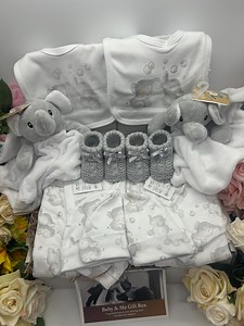 Unisex Twin Baby Gift Hamper: Elephant Sleepsuits & Plush Toys - Etsy