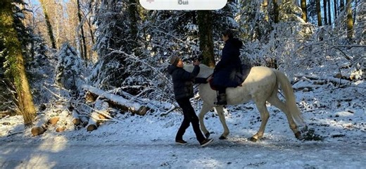 Les femmes vétos de Mollie-Margot- L'Arpenteur du Val - Passe-moi les jumelles - Play RTS