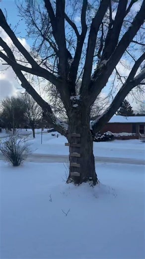 Canadian weather sucks ass