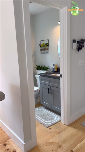 2.3K views · 18 reactions | Pothos & Philodendron on the Wall - Growing in Water #pothos #philodendron #plants #houseplant #indoorplants #gardening #thegreenearth | The Green Earth | Facebook