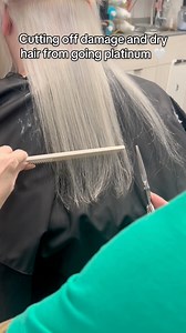 She wants to go platinum and she had blonde on the last 6 inches of her hair. So we talked about it and she was ok with losing it and we would check after we dried. I used a 10vol developer. No heat. Bonders. I did all the things and had all the conversations #platinumhaircolor #denverhairstylist #blondehair #platinumblonde #hairtutorial | Ktbhair