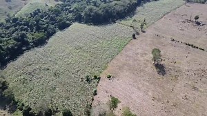 #Oportunidad_Unica #Venta de 15 manzanas de #Terreno en una zona #Estrategica y de fácil acceso Te ofrecemos en #San_Francisco_de_Yojoa una #Propiedad con terreno mayormente plano Ideal para proyectos de gran escala No dejes pasar esta gran oportunidad Contactanos hoy mismo, para mas detalles A nuetros numeros telefónicos 9651-3245 / 8889-3473 Has que tu dinero cresca mas con los #Bienes_y_Raices este 2025. | Honduras Desde Adentro Internacional. | Facebook