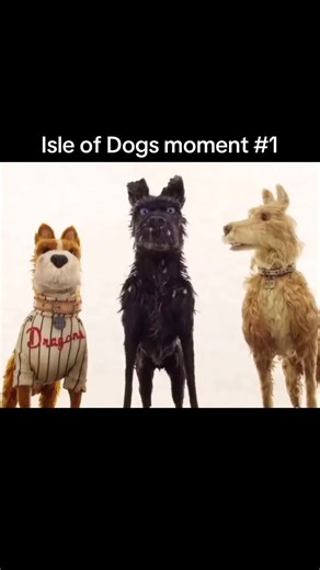 dreamsiclecatenthusiast on TikTok