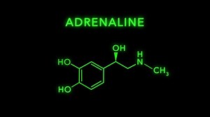 Adrénaline ou épinéphrine Structure Molécule Symbole : vidéo de stock (100 % libre de droit) 1059047312 | Shutterstock