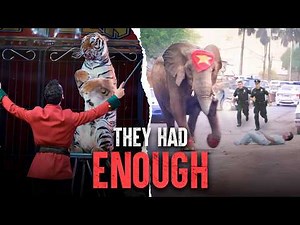The Deadliest Circus Animal Attacks