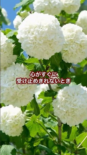 悲しみの中にある怒りの正体