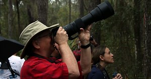 Gainesville bird walks inspire a deeper connection with birds and nature