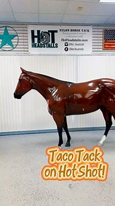 Check out the Taco Lover tack on Hot Shot! We have a few saddle pouches, tack sets, and bronc halters left! #hotheadstalls #horses #horsetack #tack #equine #equestrian #rodeo #barrelrace #barrelracing #western #horseriding #pony #ponies #horse | Hot Headstalls