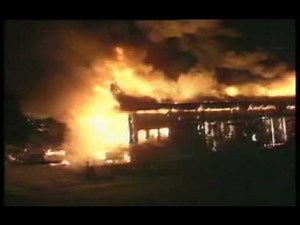 Charlie The Wonder Dog "He Truly is a WONDER DOG!"