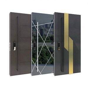 Stainless Steel Front Entry Doors Exterior Main Pivot Door for House
