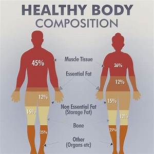 Composition Of Body Fat Free Online Tv