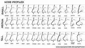 Nose Chart Reference By Macawnivore On Deviantart