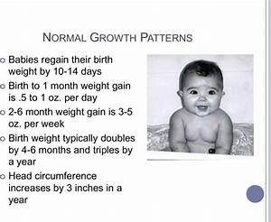 Download Breastfed Baby Growth Chart Template For Free Page 11