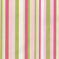 Pink Green Background Striped