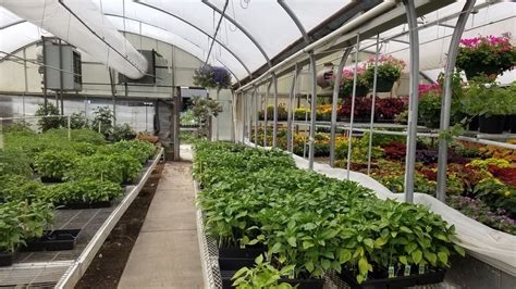 anton's greenhouse nude