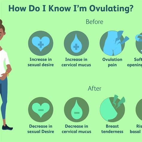 are you hornier during ovulation nude