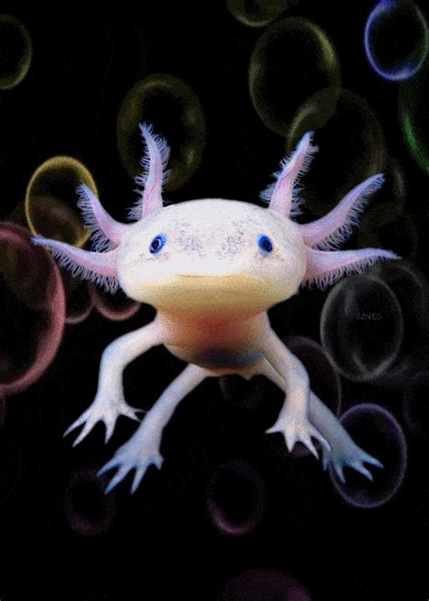 axolotl gifs nude